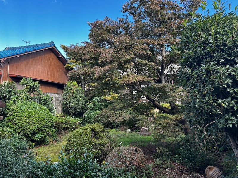 居間から見た庭の様子