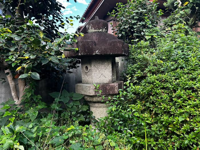 草木に隠れた灯篭