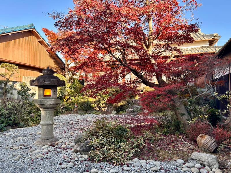 完成した庭の様子。